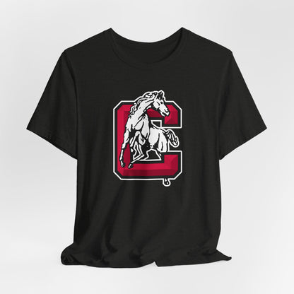 Jersey Short Sleeve Tee