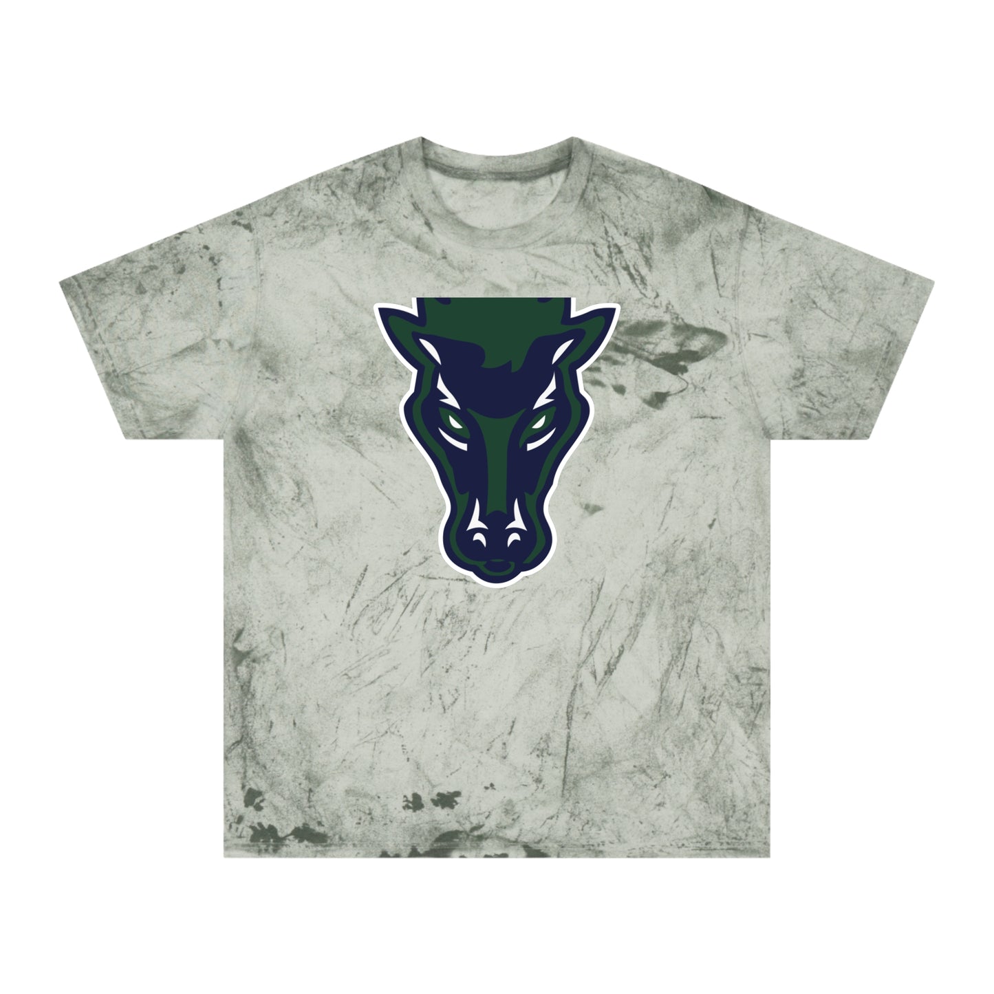 Color Blast School Spirit Tee