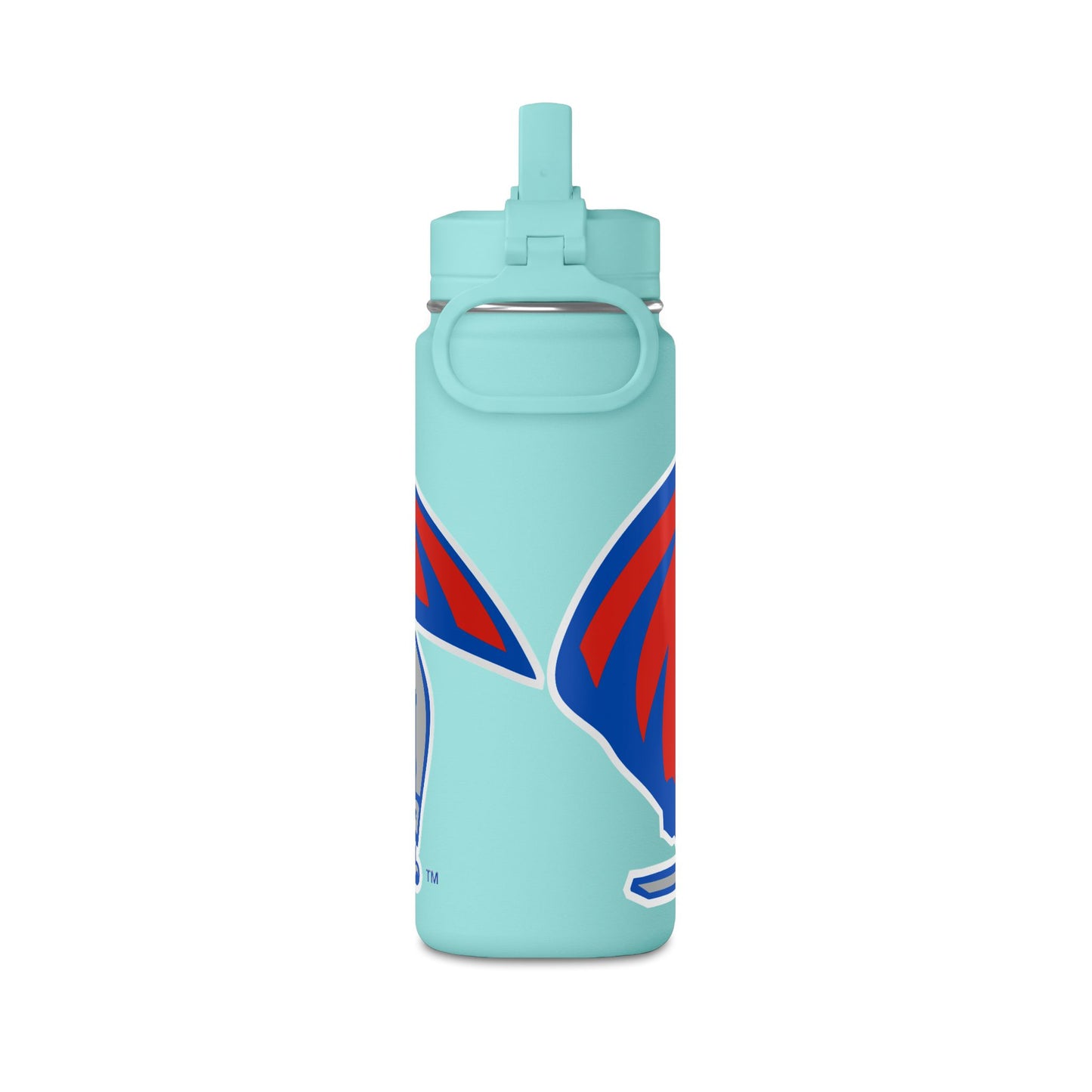 Mini Water Bottle, 20oz