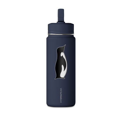 Mini Water Bottle, 20oz