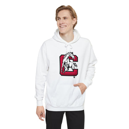 Heavyweight Garment-Dyed Hoodie