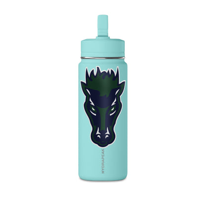 Mini Water Bottle, 20oz
