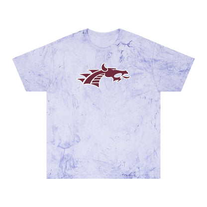 Color Blast School Spirit Tee