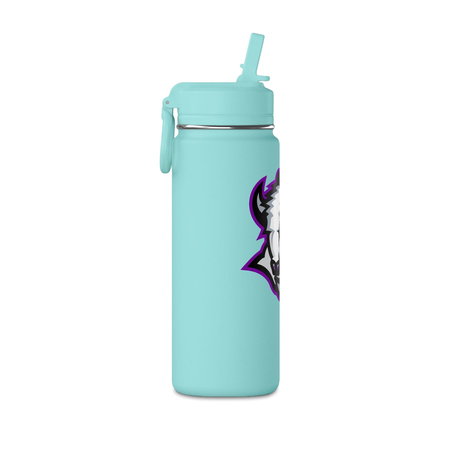 Mini Water Bottle, 20oz