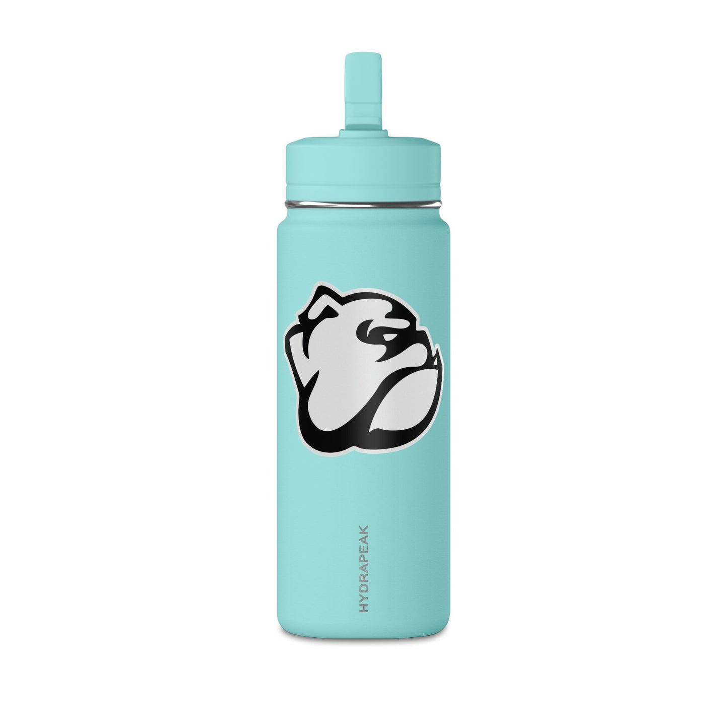 Mini Water Bottle, 20oz