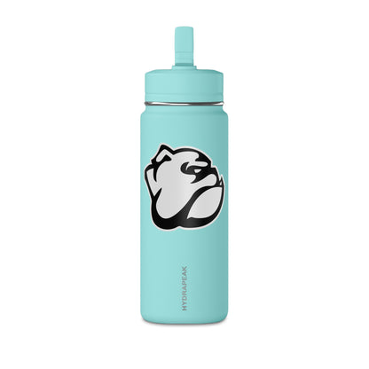 Mini Water Bottle, 20oz