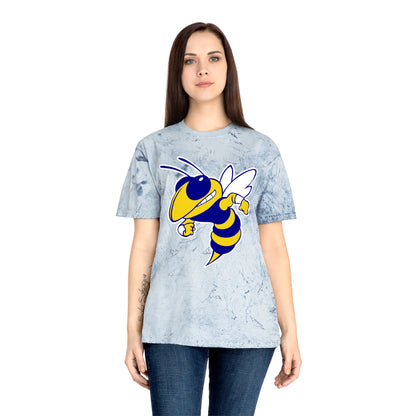 Color Blast School Spirit Tee