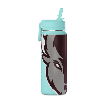 Mini Water Bottle, 20oz