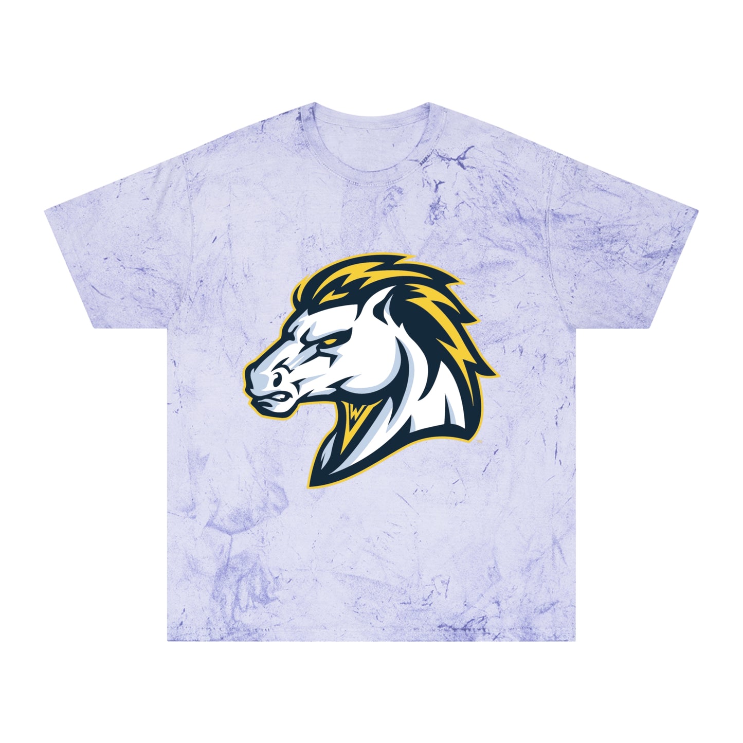 Color Blast School Spirit Tee