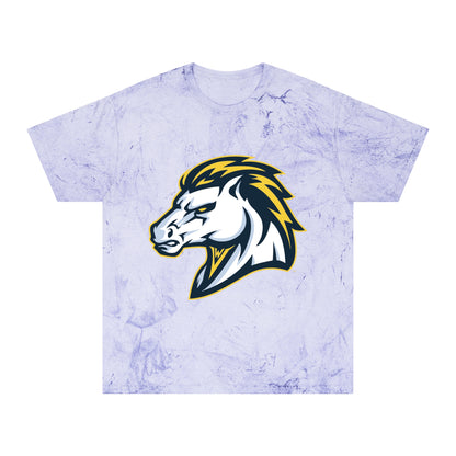 Color Blast School Spirit Tee