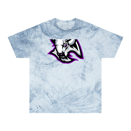 Color Blast School Spirit Tee