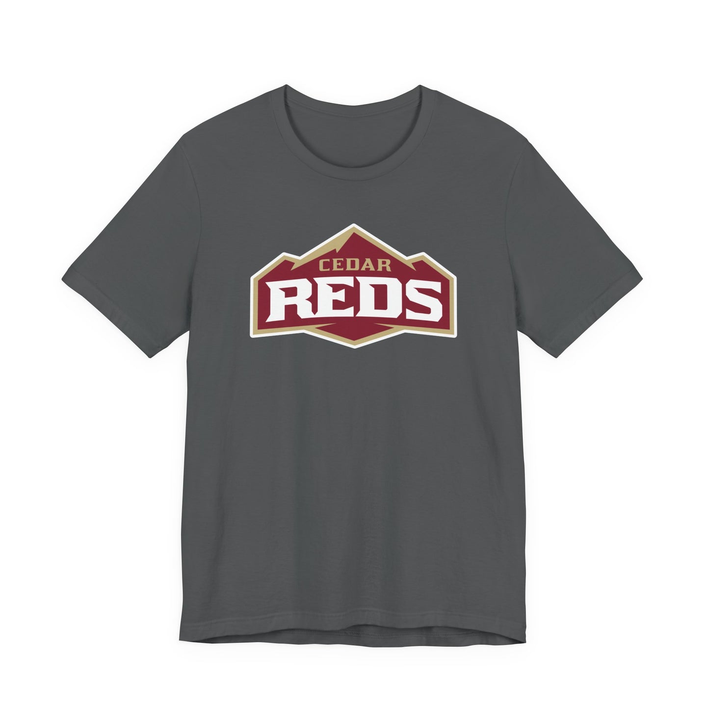 Jersey Short Sleeve Tee