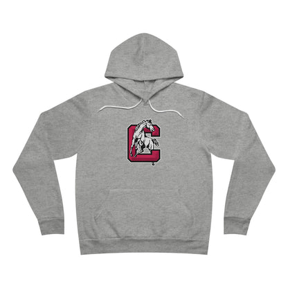 Sponge Fleece Pullover Hoodie