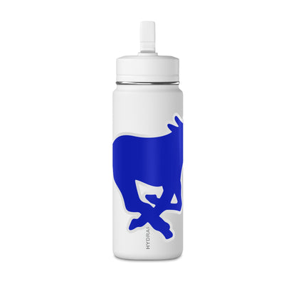Mini Water Bottle, 20oz