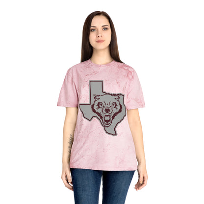 Color Blast School Spirit Tee