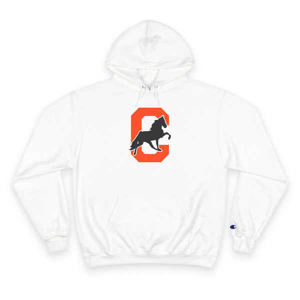 Champion Powerblend Fleece Pullover Hoodie