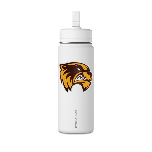 Mini Water Bottle, 20oz