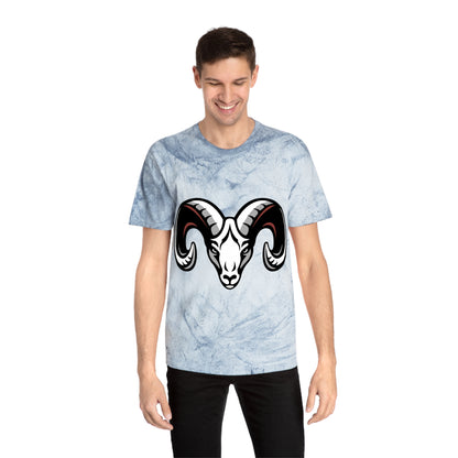 Color Blast School Spirit Tee