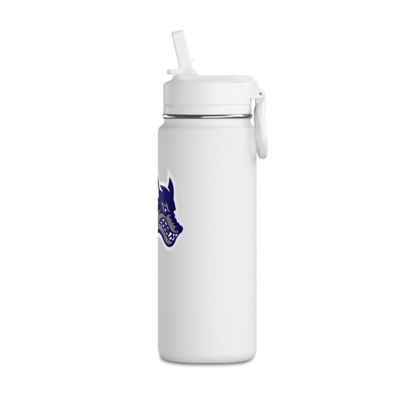 Mini Water Bottle, 20oz