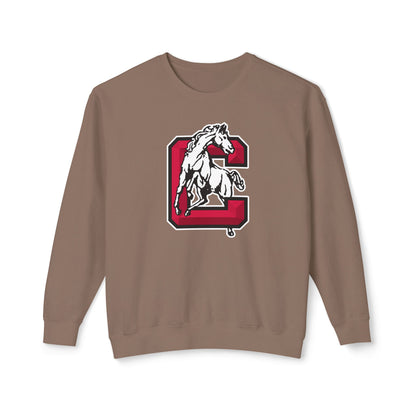 Lightweight Crewneck Sweatshirt