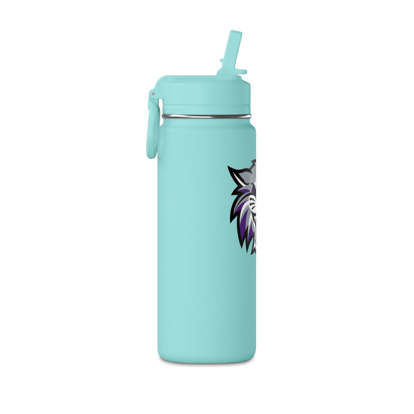 Mini Water Bottle, 20oz