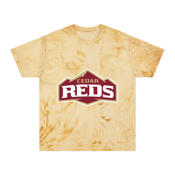 Color Blast School Spirit Tee