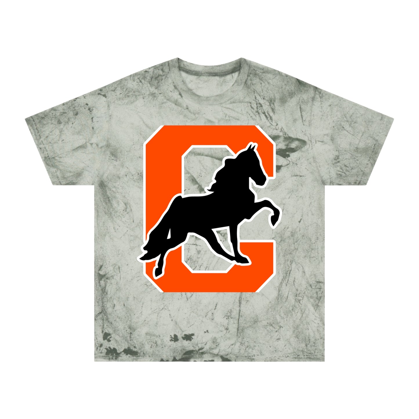 Color Blast School Spirit Tee