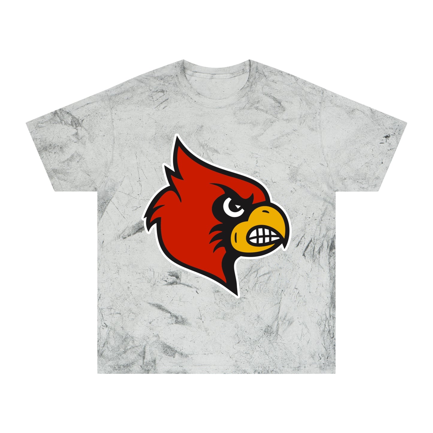 Color Blast School Spirit Tee