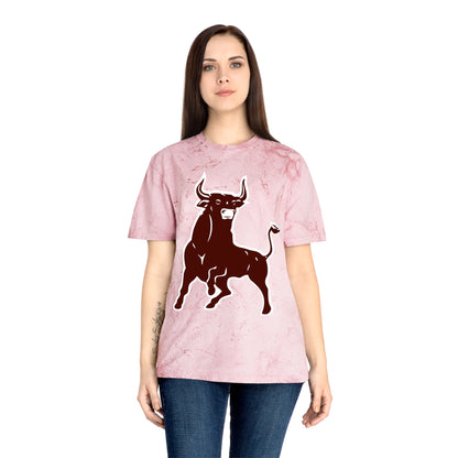 Color Blast School Spirit Tee