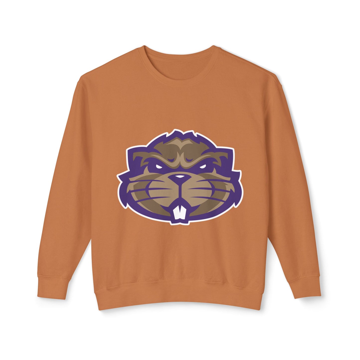 Lightweight Crewneck Sweatshirt