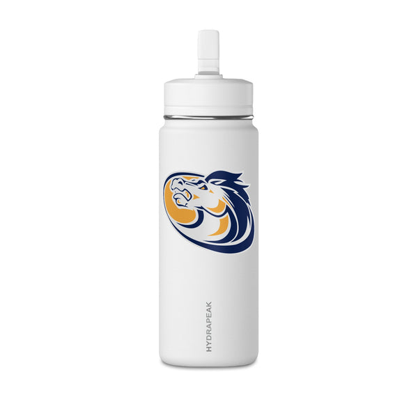 Mini Water Bottle, 20oz