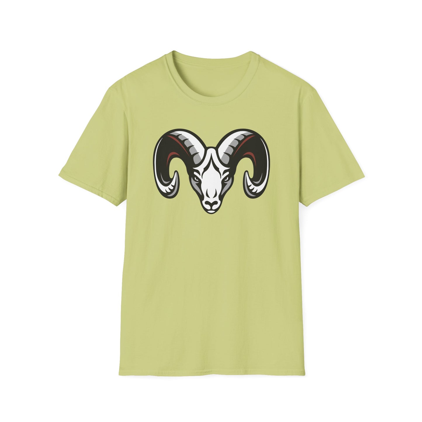 Softstyle T-Shirt