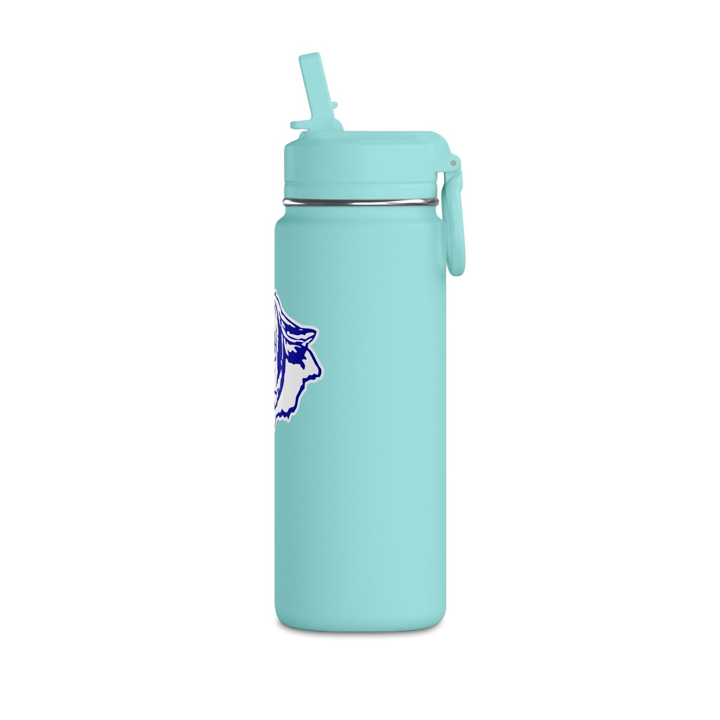 Mini Water Bottle, 20oz