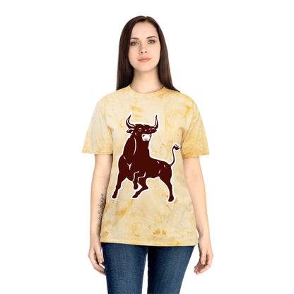 Color Blast School Spirit Tee