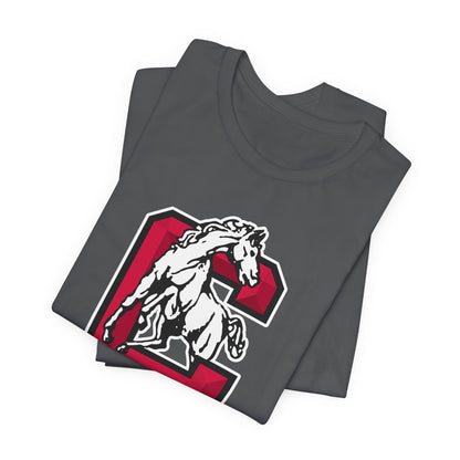 Jersey Short Sleeve Tee