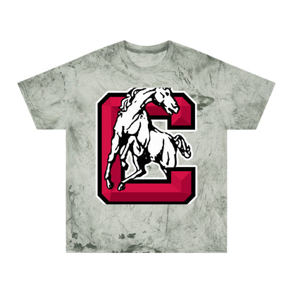 Color Blast School Spirit Tee