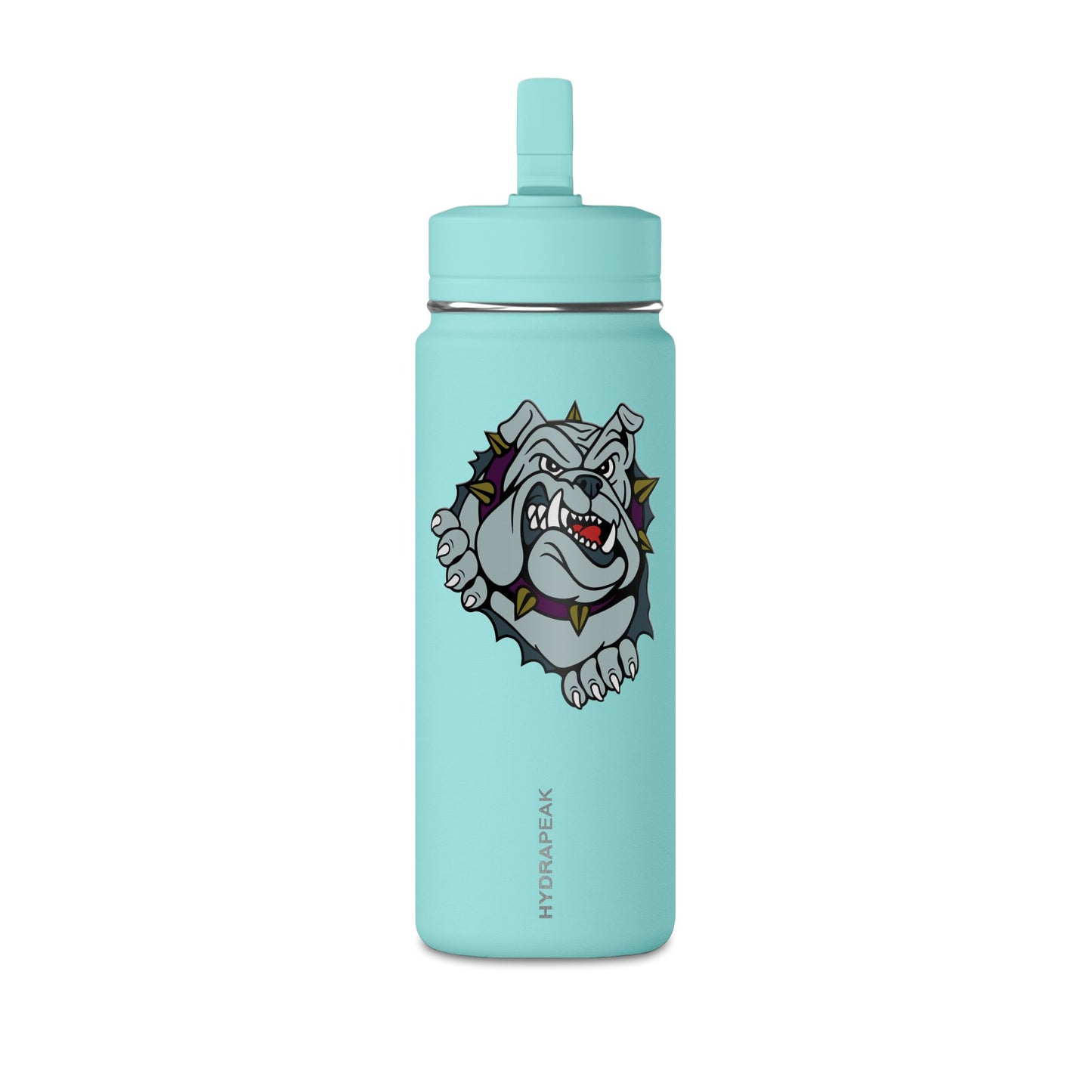 Mini Water Bottle, 20oz