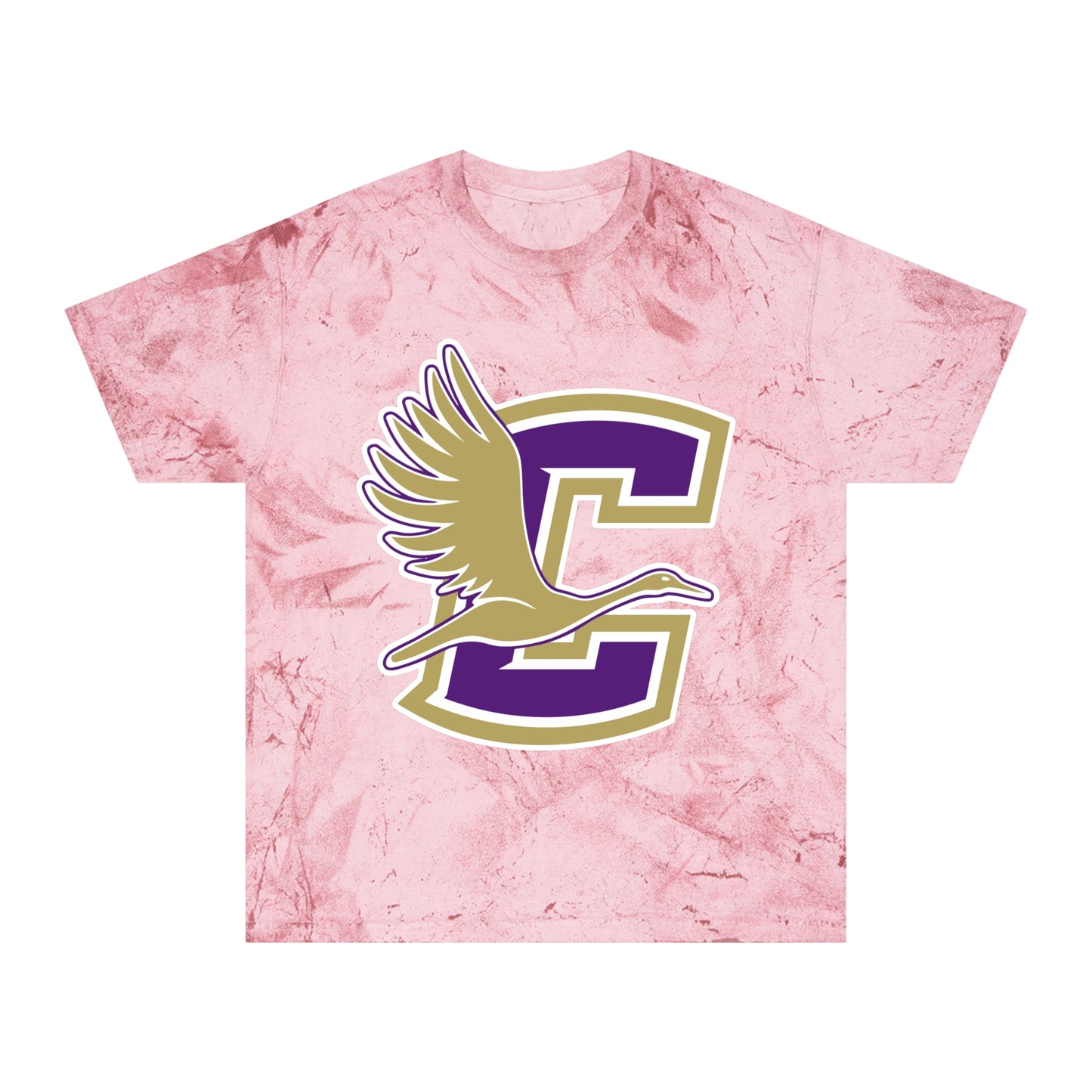 Color Blast School Spirit Tee