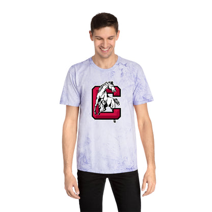 Color Blast School Spirit Tee