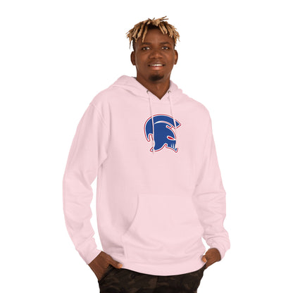 Midweight Pullover Hoodie