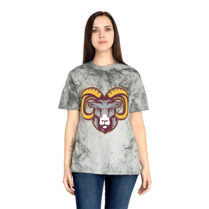 Color Blast School Spirit Tee
