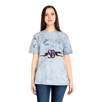 Color Blast School Spirit Tee