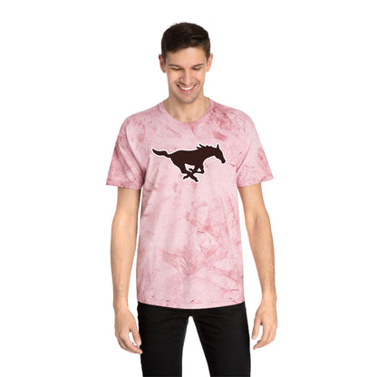 Color Blast School Spirit Tee