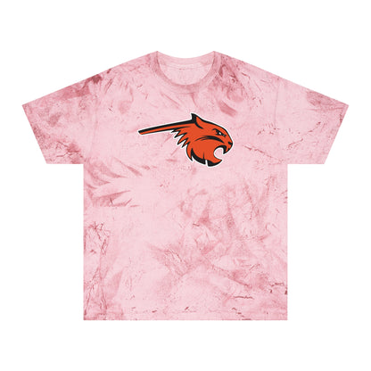 Color Blast School Spirit Tee