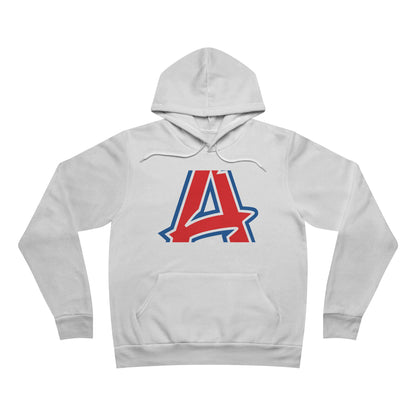 Sponge Fleece Pullover Hoodie