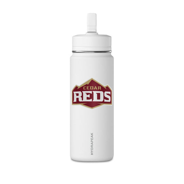 Mini Water Bottle, 20oz