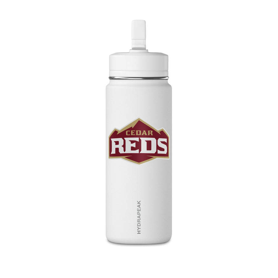 Mini Water Bottle, 20oz
