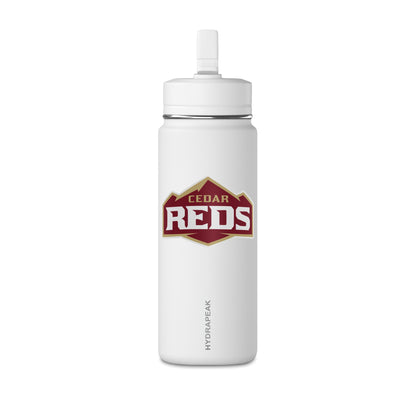 Mini Water Bottle, 20oz