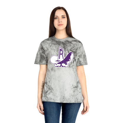 Color Blast School Spirit Tee