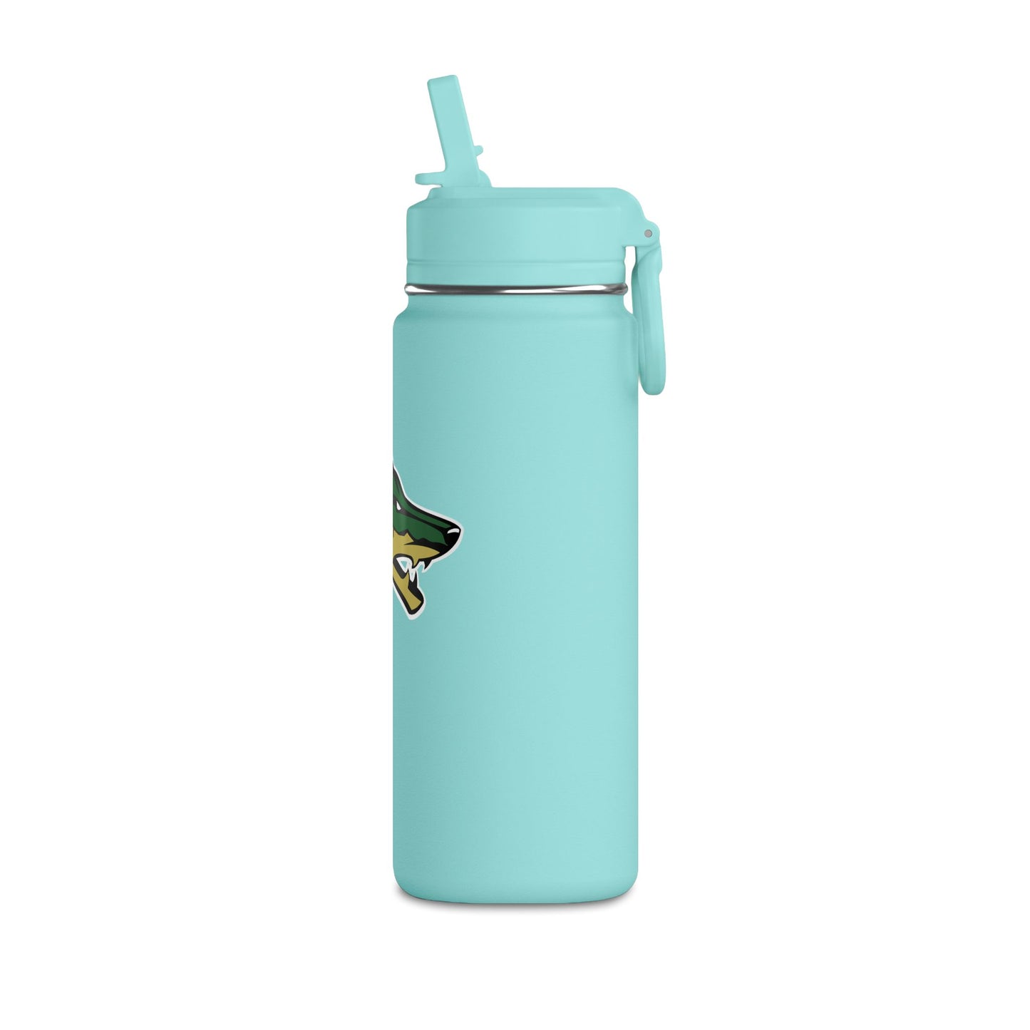 Mini Water Bottle, 20oz